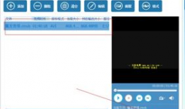 如何转换视频格式,掌握高效视频格式转换技巧