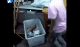 叼逼视频,揭秘网络红人的崛起之路