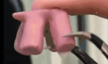 养蚂蚁视频,跟随镜头走进蚂蚁的日常生活