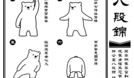 八段锦视频,轻松入门养生功法